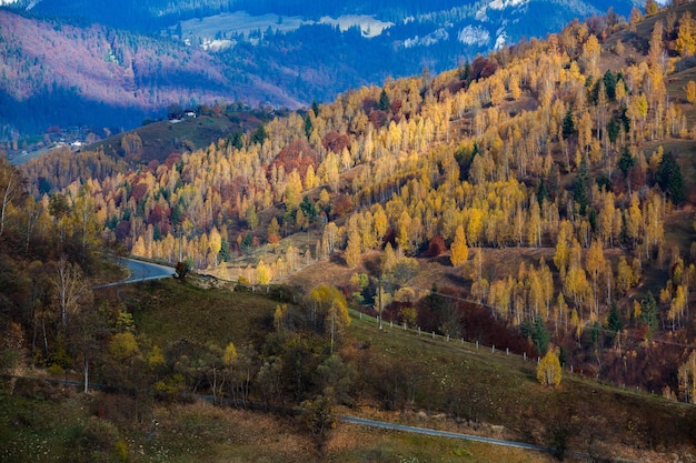 Un encantador paisaje de montaña en los Cárpatos, Rumania