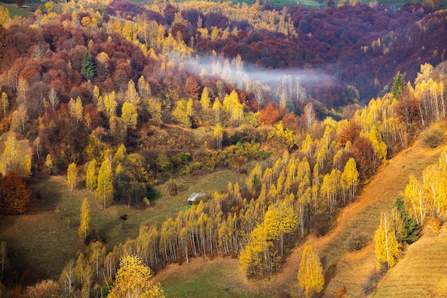 Un encantador paisaje de montaña en los Cárpatos, Rumania