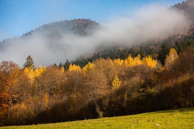 Un encantador paisaje montañoso en los Cárpatos, Rumania.