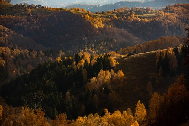 Un encantador paisaje montañoso en los Cárpatos, Rumania.