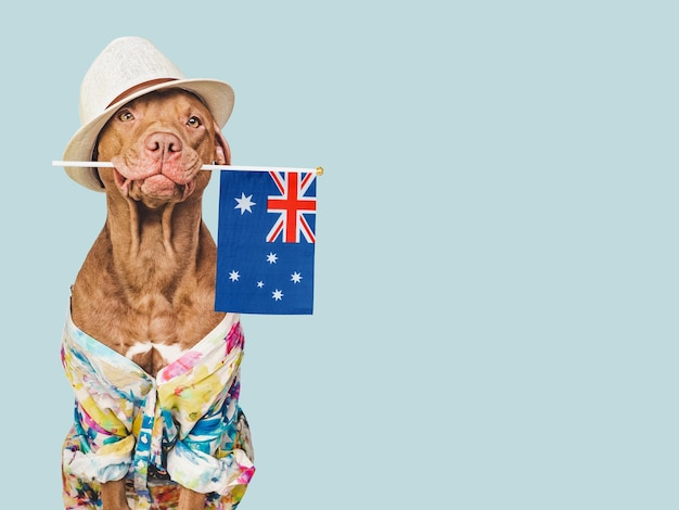 Encantador sombrero para el sol de perro marrón y bandera australiana