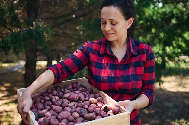 Encantadora agricultora de mediana edad con camisa a cuadros que lleva una caja de madera de patatas recién excavadas en la granja orgánica Cosecha