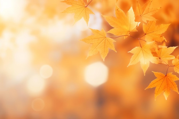 Encantadora belleza de otoño Captivador primer plano de hojas de arce abrazadas por un fondo de Bokeh soñador