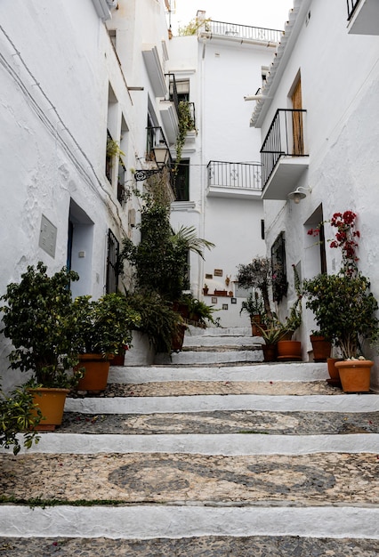 Foto la encantadora calle de frigiliana españa con escalones blanqueados foto vertical