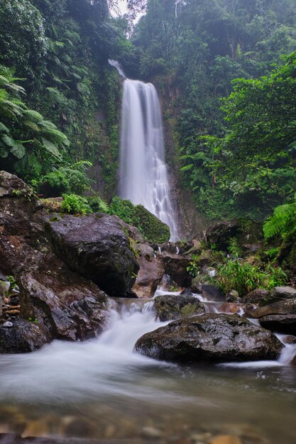 La encantadora cascada de Saderi se encuentra en Bogor, Java Occidental, Indonesia