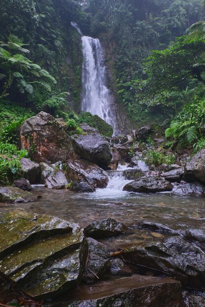 La encantadora cascada de Saderi se encuentra en Bogor, Java Occidental, Indonesia