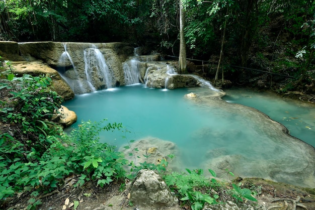 Encantadora cascada verde y exuberante