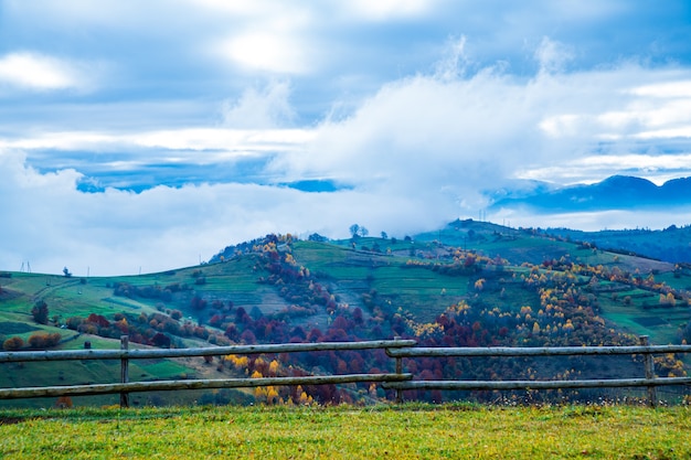 Encantadora linda paisagem de verão de prados verdes