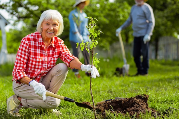 Encantadora mujer jubilada. Encantadora mujer jubilada con camisa cuadrada sonriendo mientras planta árboles cerca de amigos