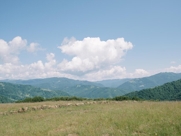 Foto encantadora paisagem de verão das montanhas dos cárpatos na névoa