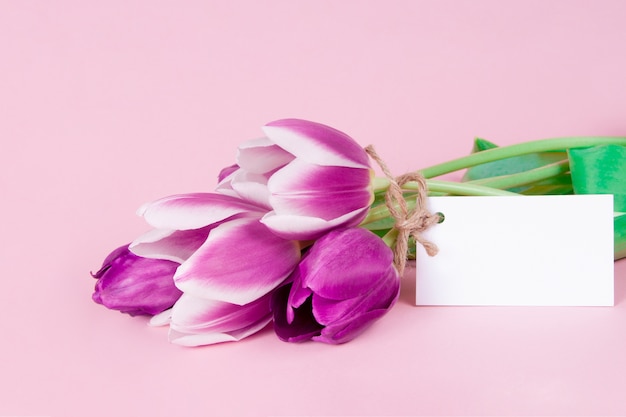 Encantadora tarjeta de felicitación con flores de tulipanes sobre fondo rosa