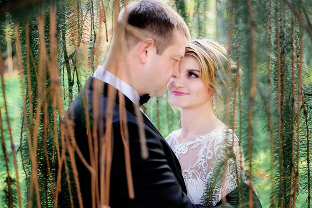 Encantadores recién casados ​​están de pie entre verdes colgantes en el jardín