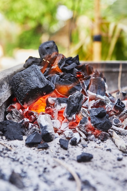 Encendido de carbones en la parrilla de la barbacoa. Fiesta de barbacoa.