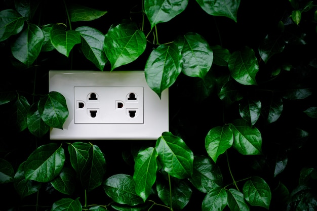 Un enchufe eléctrico casero blanco en una pared de hojas.