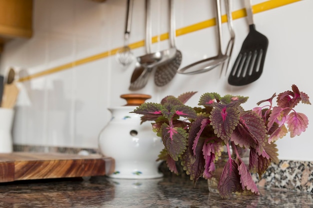 Encimera en la mesa de la cocina