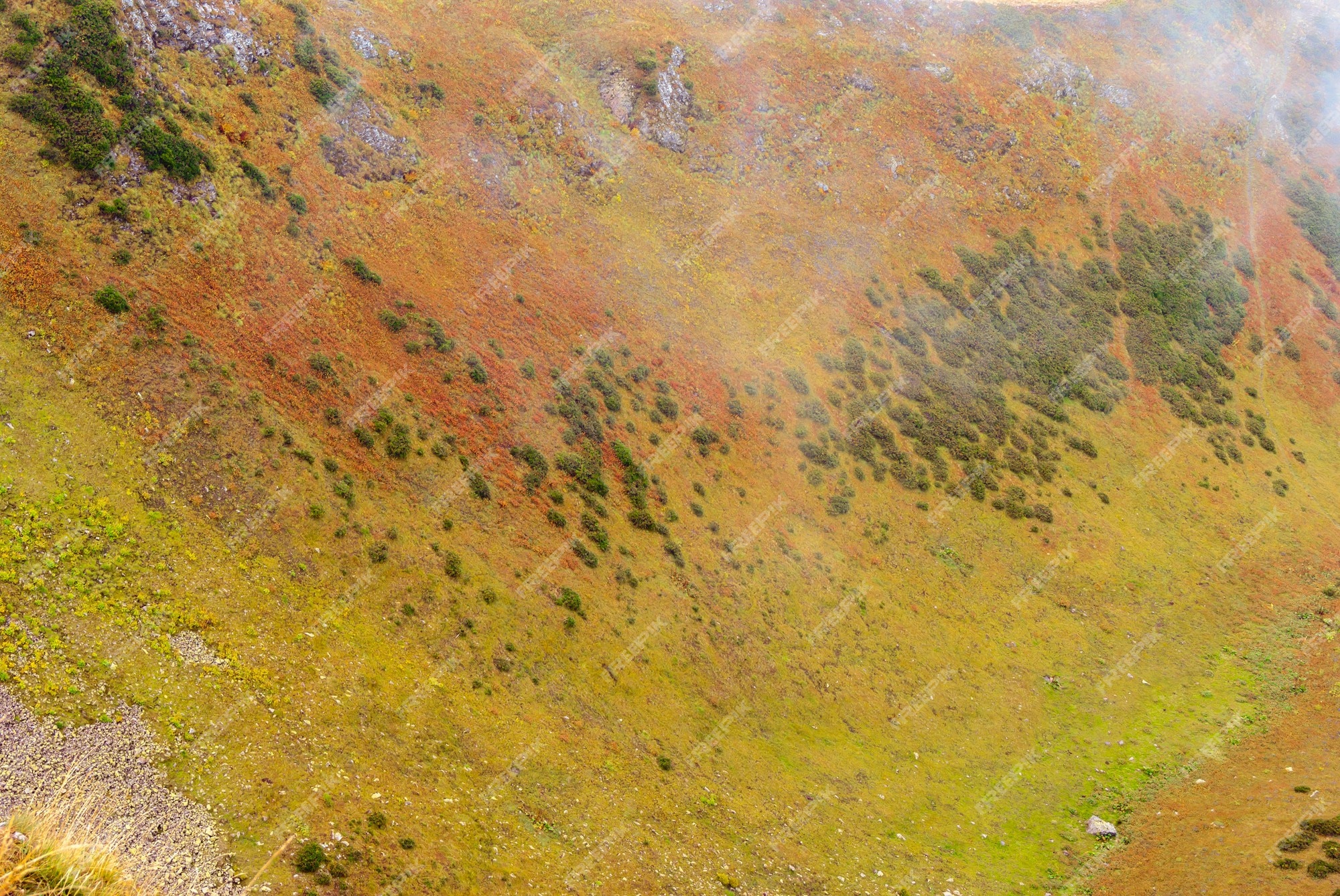 Encosta da montanha com vegetação colorida outono prados de alta altitude  visíveis através das nuvens