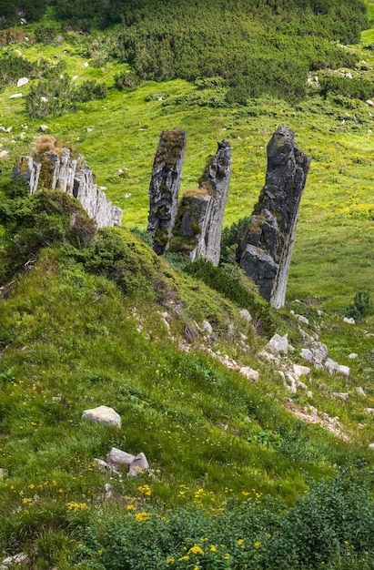 Encosta de montanha de verão com formações rochosas pitorescas montanha Shpyci Carpathian Ucrânia