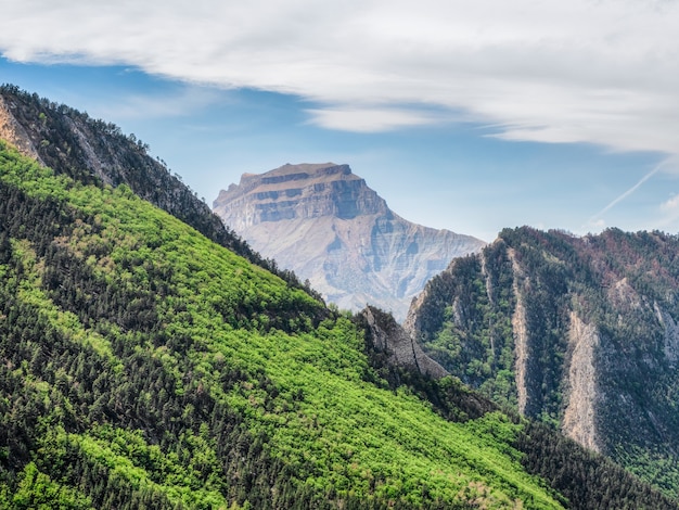 Encostas íngremes das montanhas cobertas por floresta. Planeta verde. Fundo natural ensolarado com montanhas verdes.