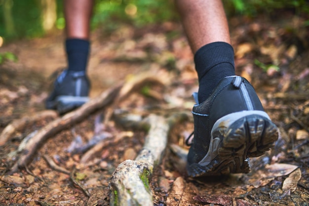 Encuentre nuevos caminos para explorar Vista trasera de un excursionista no identificable caminando en el bosque