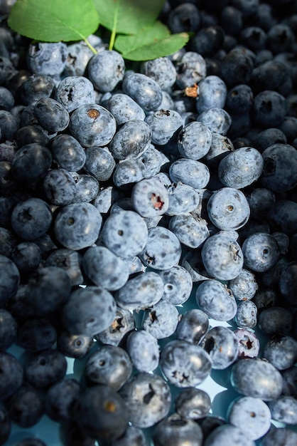 Endecha plana de arándanos jugosos orgánicos frescos sobre fondo azul luz solar dura vista superior espacio de copia Concepto de alimentación saludable y dietética vitamina antioxidante alimentos de verano