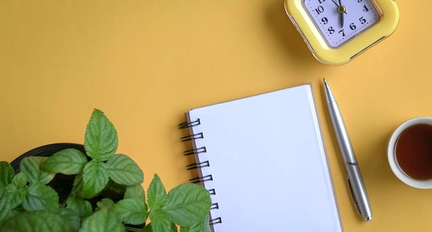 Endecha plana de café de reloj de bloc de notas y planta en tablero amarillo