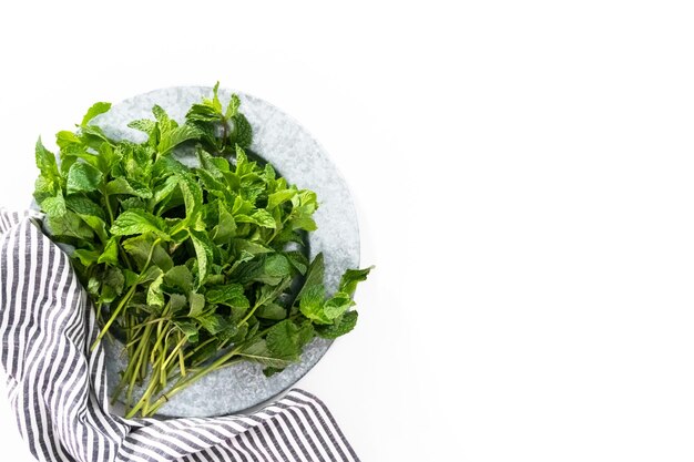 Endecha plana. Menta fresca del jardín orgánico sobre un fondo blanco.