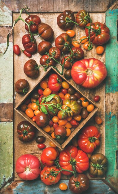 Endecha plana de tomates frescos y coloridos en la composición vertical de la bandeja