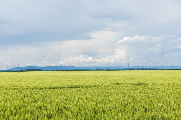 Foto endloses blau und grün