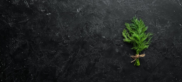 Endro verde fresco em um fundo de pedra preto. Vista do topo. Espaço livre para o seu texto.