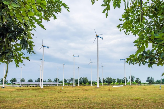 Energía alternativa de las turbinas de viento en campo