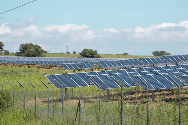 Energia solar da fazenda verde da luz do sol mostra uma grande quantidade de placa de célula solar. Foco seletivo.