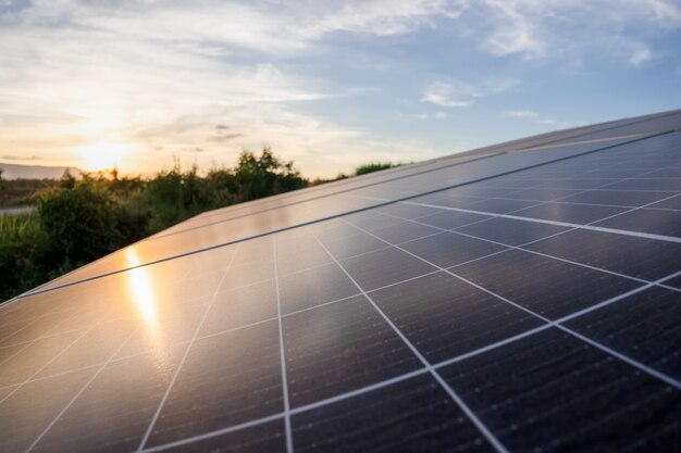 Energia solar em fazenda de açúcar, energia verde, energia natural para o agricultor