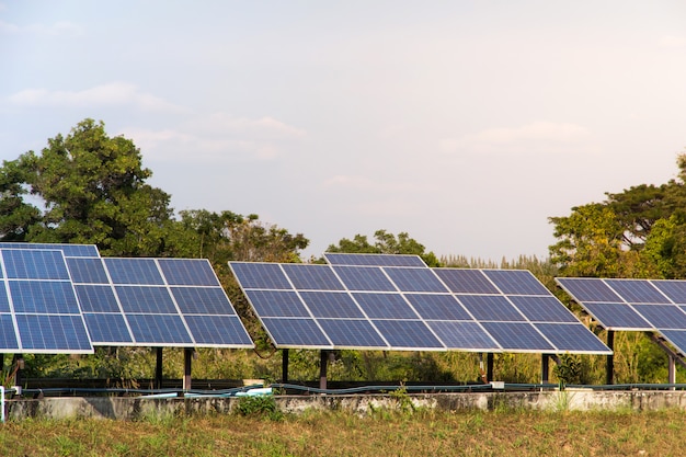 Energia solar fazenda para energia renovável elétrica do sol