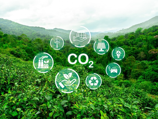 Energía verde desarrollo ecología medio ambiente salvar el planeta cambio climático conceptos sostenibles texto CO2 rodeado de símbolo de energía renovable en bosque y fondo verde vista de montaña