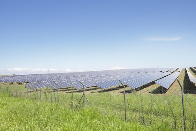 La energía verde de la granja solar de la luz del sol muestra una gran cantidad de placas de células solares. Enfoque selectivo.