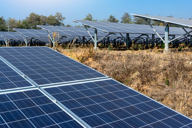 Energía verde de la granja solar de la luz del sol