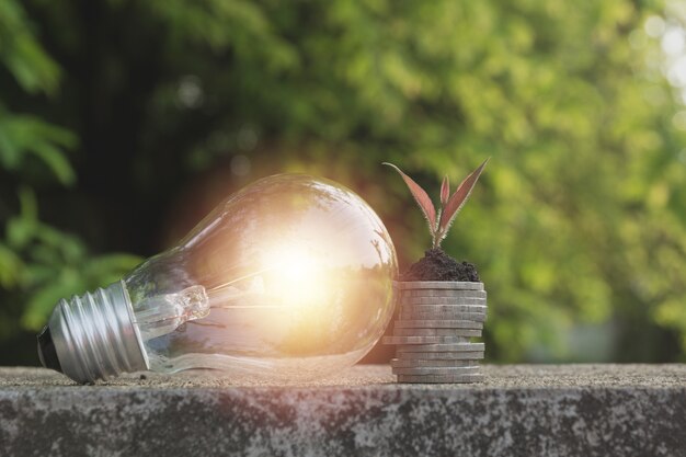 Energiesparende Glühlampe und Baum, die auf Stapeln Münzen auf Naturhintergrund wachsen.