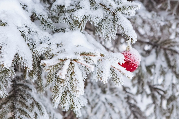 Enfeite de Natal vermelho pendurado em pinheiro coberto de neve