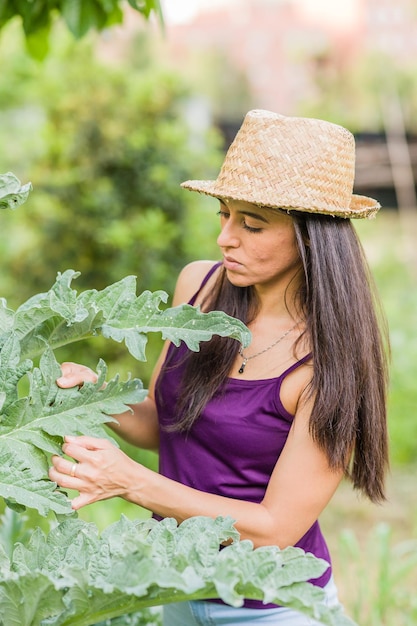 Enfermedad de la hoja de la planta de plagas en la agricultura libre de pesticidas parásitos en alimentos orgánicos a mediados de la mujer hispana