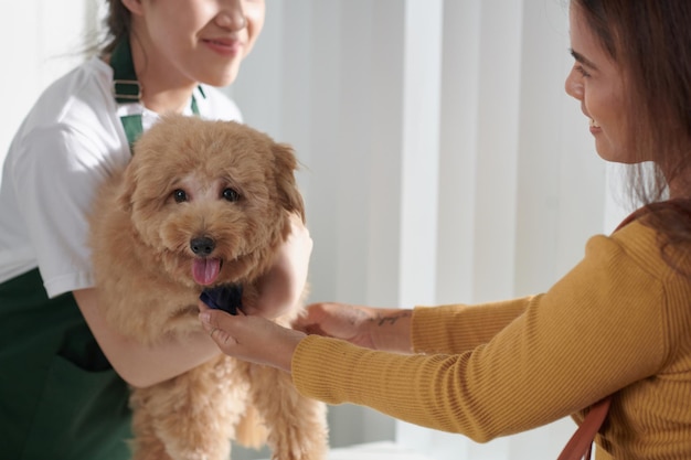 Foto enfermeira dando cachorro ao dono