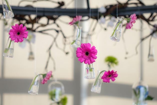Enfoque selectivo Gerbera rosa flores de margarita en botellas de vidrio cuelgan en el aire