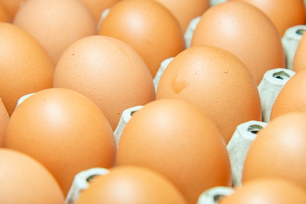 Enfoque selectivo de huevos crudos de gallina.