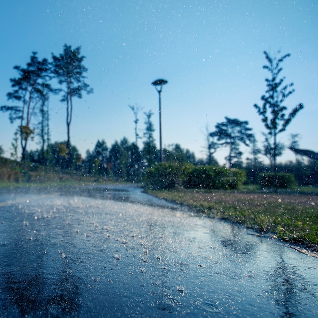 Foto enfoque selectivo del marcado de asfalto de las gotas de lluvia. fondo de cerca