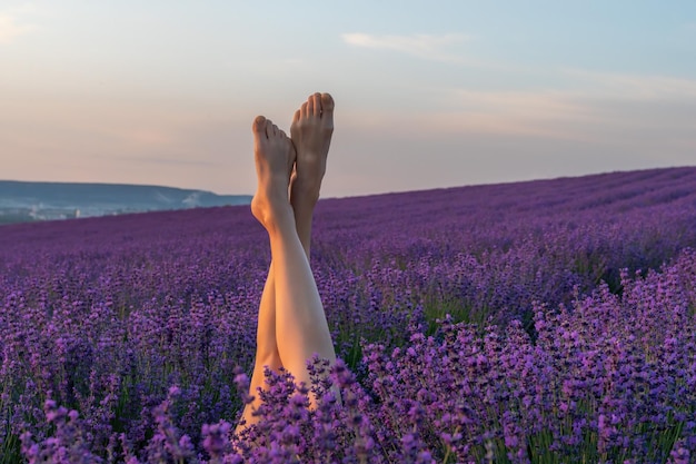 Enfoque selectivo, las piernas de las niñas sobresalen de los arbustos de lavanda cálida luz del atardecer arbustos de lavanda