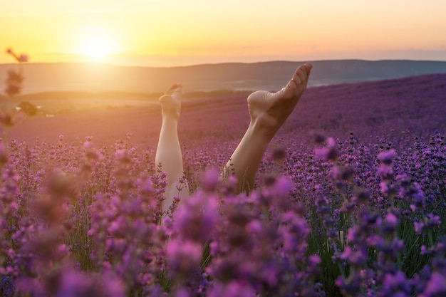 Enfoque selectivo, las piernas de las niñas sobresalen de los arbustos de lavanda cálida luz del atardecer arbustos de lavanda