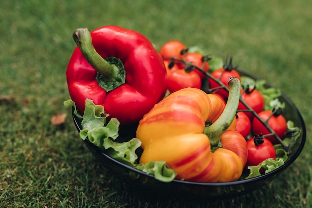 Enfoque selectivo de pimientos rojos y amarillos saludables