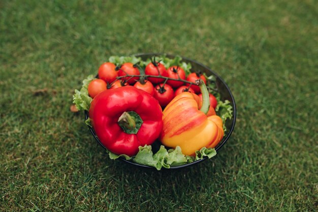 Enfoque selectivo de pimientos rojos y amarillos saludables