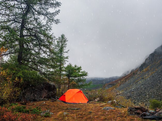 Enfoque suave. Carpa naranja bajo la nieve con lluvia. Acampar en una meseta otoñal a gran altura. Paz y relajación en la naturaleza. Lago Upper Shavlin en Altai.