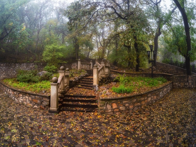 Enfoque suave Hermosa y antigua escalera de piedra en el parque brumoso de Zheleznovodsk Antigua escalera de piedra en el parque brumoso de otoño Escaleras arriba