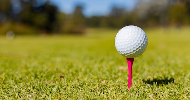 Enfoque superficial de una pelota de golf en un tee en un curso